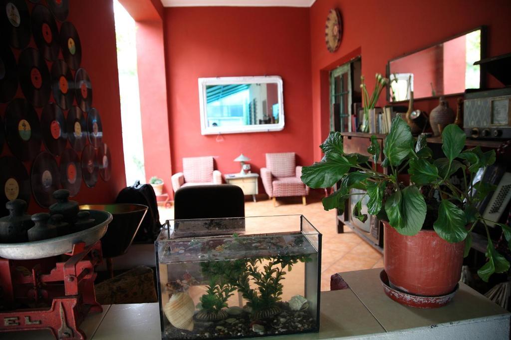 Trip'N'Hostel Tiranë Eksteriør bilde